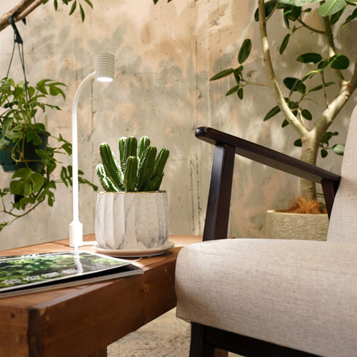 BARRELYEW-7W ɥ饤 7Wʥ֥å