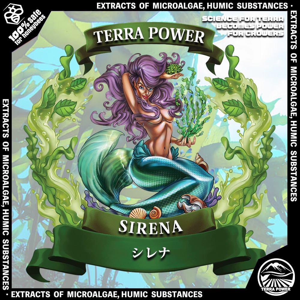 ��TERRA POWER�� LA SIRENA (�顦����ʡ�