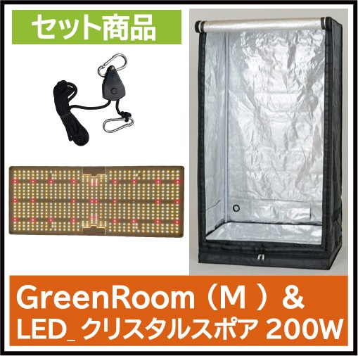 åȾ_GreenRoom(M)LEDꥹ륹ݥ200