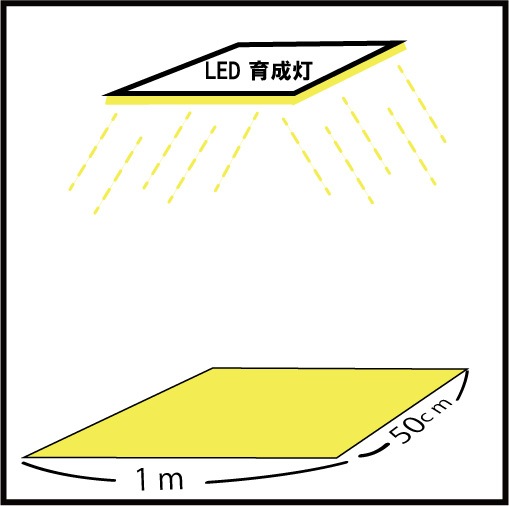 åȾ_GreenRoom(M)LEDꥹ륹ݥ200