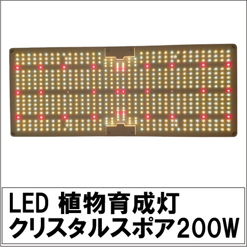 åȾ_GreenRoom(M)LEDꥹ륹ݥ200