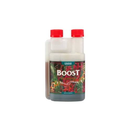 ��CANNA�� BOOST