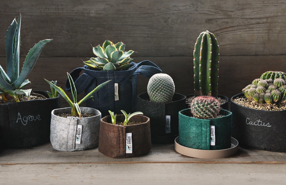 root pouch (롼ĥݡ)OREGON, USAۡBrown3.8L