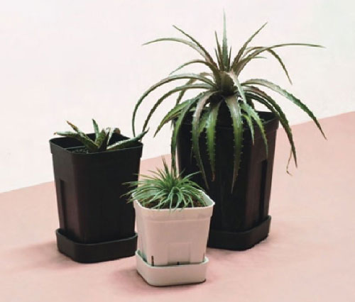 �ץ쥹�ƥ�ץ졼�� 90