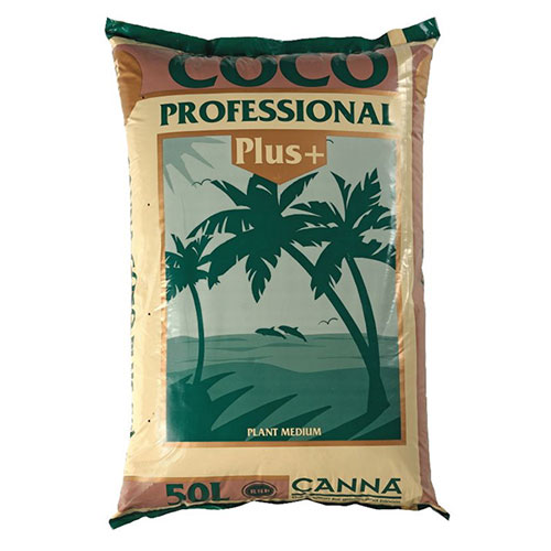 ��CANNA�� COCO PROFESSIONAL