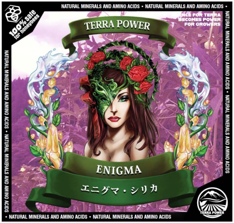 TERRA POWER ENIGMA (˥ޡˡγꥫ