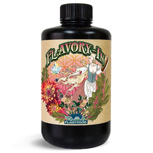 ��TAMA�� FLAVORY-IN