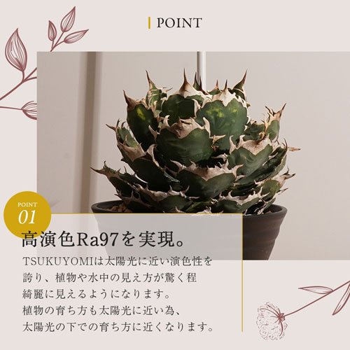 BARRELTSUKUYOMI10Wʥۥ磻ȡ