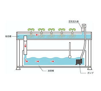 �ۡ���ϥ��ݥ˥� PLAABO�ʥץ顼�ܡ�