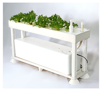 �ۡ���ϥ��ݥ˥� PLAABO�ʥץ顼�ܡ�