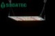 SODATEC LED 01-100