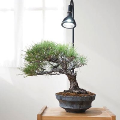 ��BARREL��NEO TSUKUYOMI 20W�ʥ֥�å���