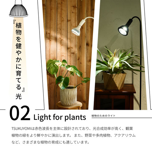 ��BARREL��NEO TSUKUYOMI 20W�ʥ֥�å���