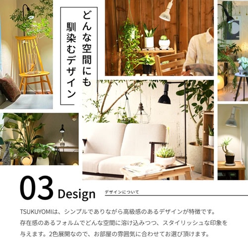 ��BARREL��NEO TSUKUYOMI 20W�ʥ֥�å���