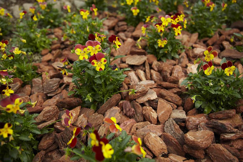 ڥץȥ꡼աۥСå 2L