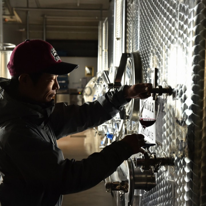 明野 ソーヴィニヨンブラン 2022 [al] | 魚料理に合う | ドメーヌボー