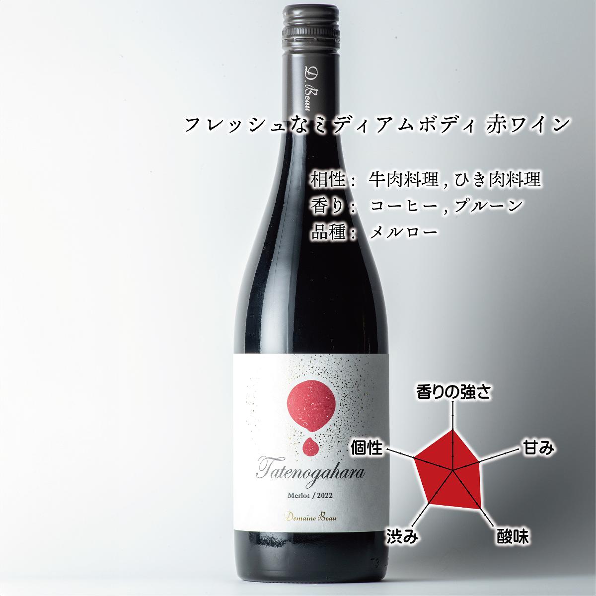 立野原 メルロー 2022 [al]