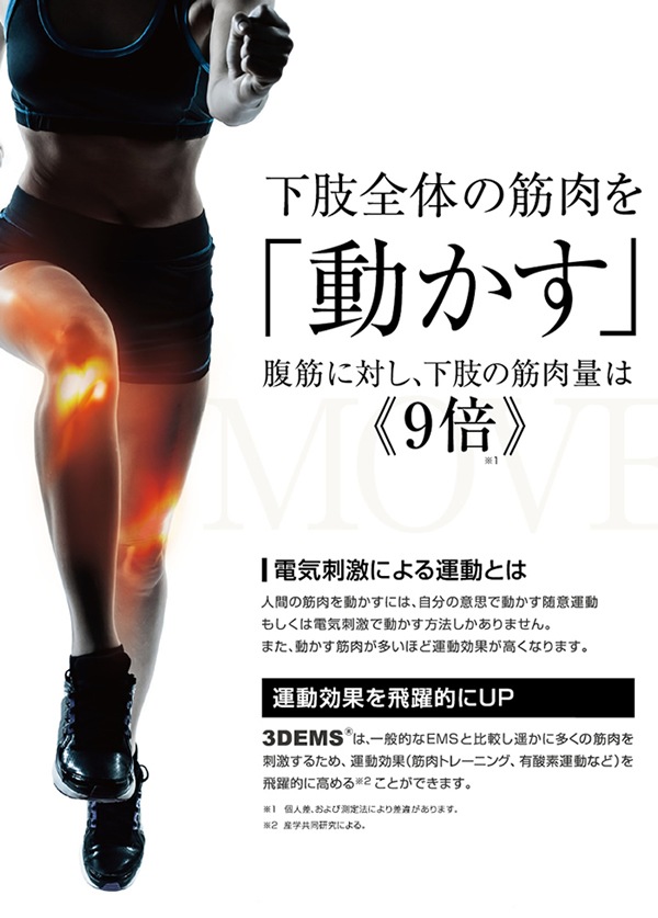 �ѥ륹�ȥ졼�ʡ�