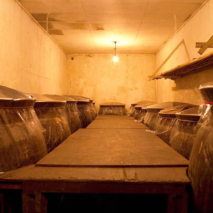 ���οݡؾ�����̵�ɲ��