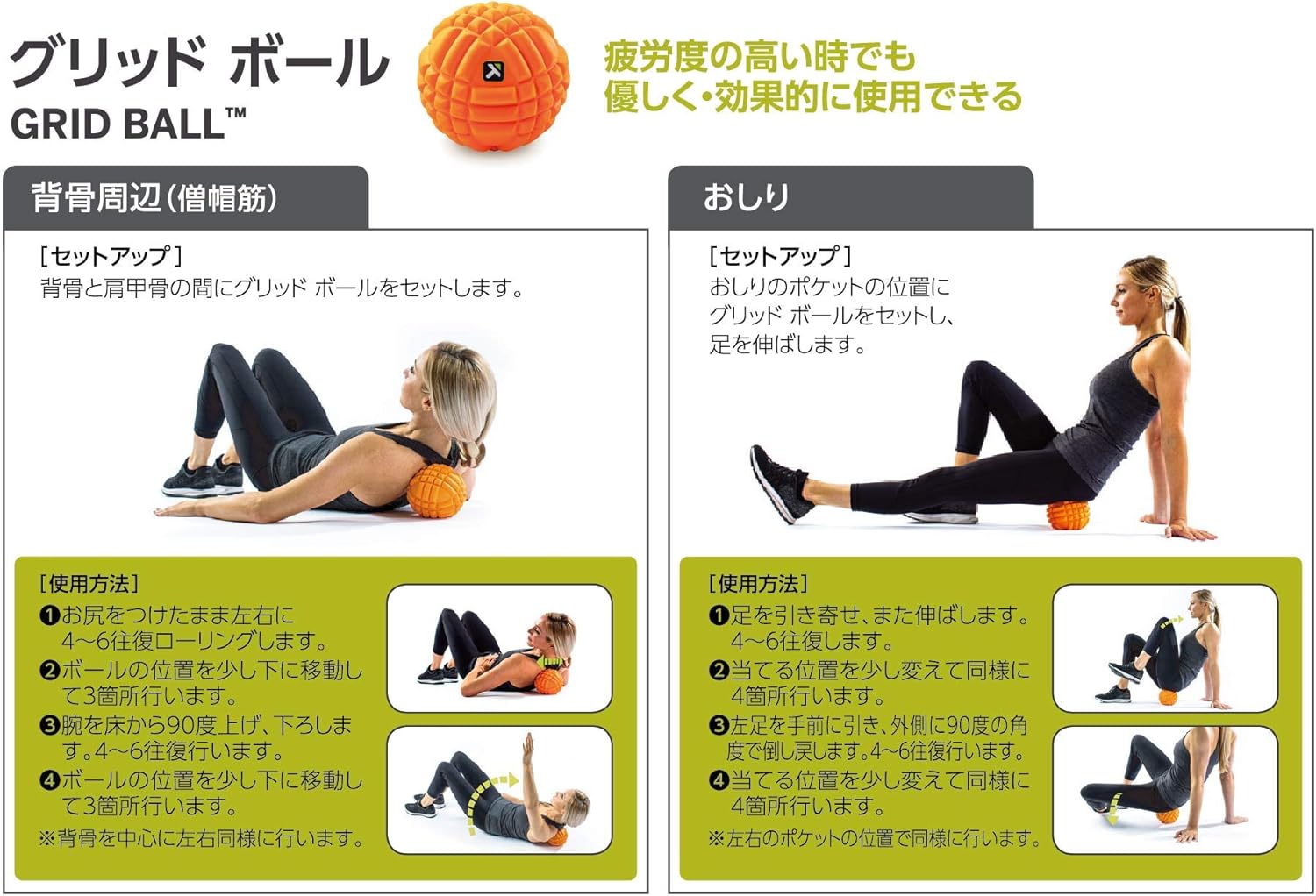 �ڶ����꡼���ۡڥȥꥬ���ݥ���ȡۥ���åɥܡ��� ľ��13cm ���եȥ����� �����