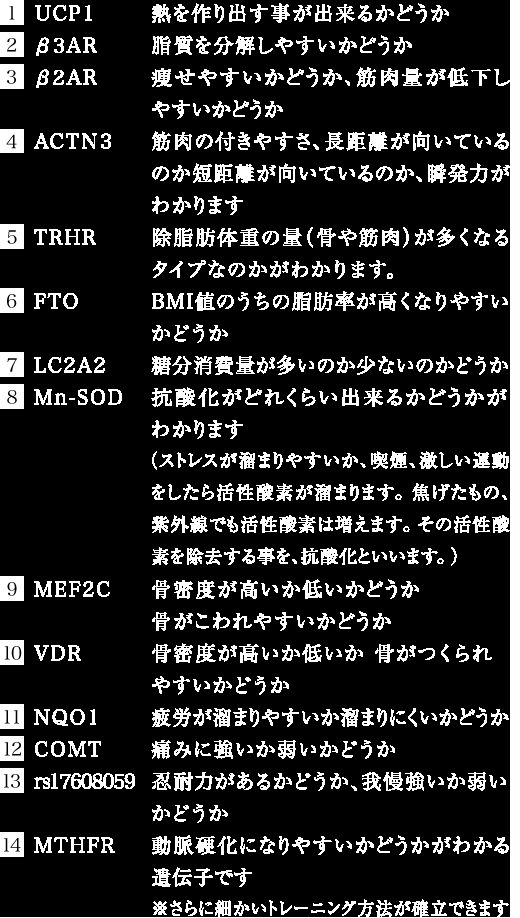 14ܤDNAϤˤäƥȥ졼˥󥰸̤Ū˾夲롪DNAprosport