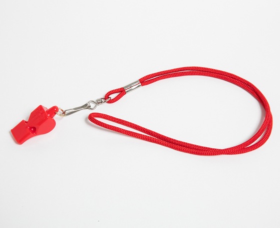 ��FOX40 �ۥ��å���ۡ��饤�ե����ɡ��쥹���塼���ɺҥ��å��Ȥ��Ƥ�