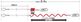 crops Q4-Easy Wrap (����������å�)��CAFE LOCKS ���ȥ졼�ȥ����֥��