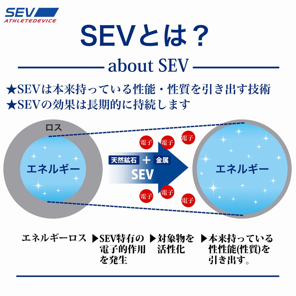 SEV���᥿��졼��Si