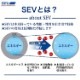 SEV �᥿��졼��Si Type-Fit
