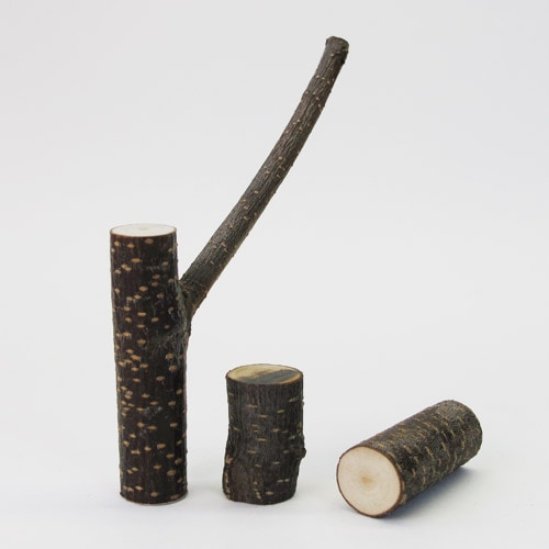 ޤΥޥͥå(ĥåޥͥå) / ˥å