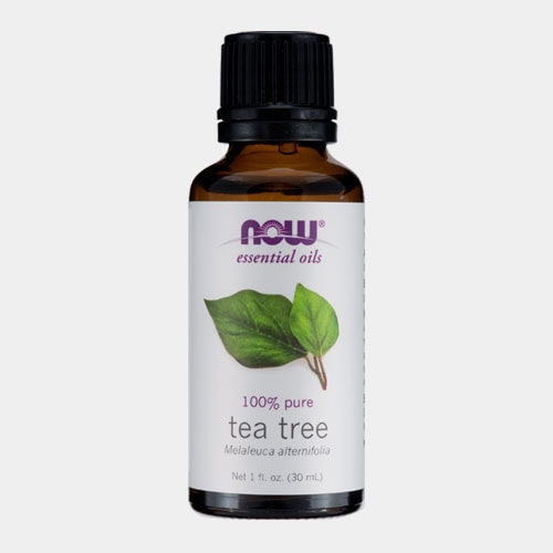 �ƥ����ȥ��꡼���� (tea tree) / NOW
