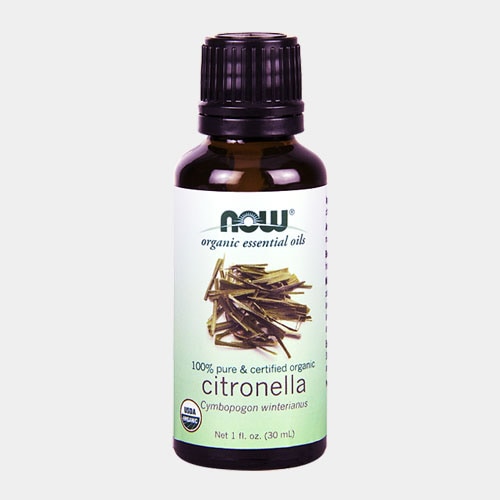 ȥͥ (citronella) *˥å / NOW