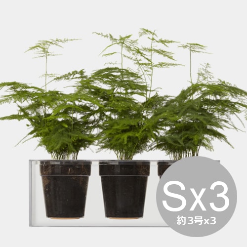 �ܥ��� ���塼�֡��ȥ�ץ� ��ư���ץ�󥿡�  / �ܥ���