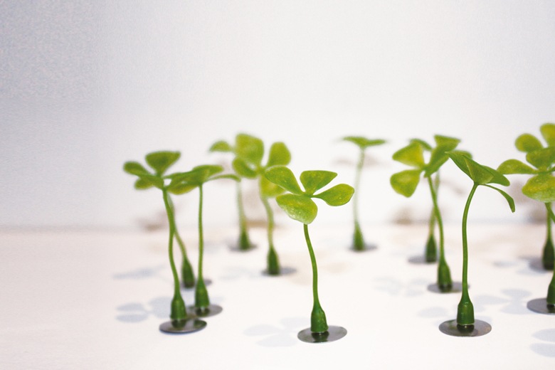 ڼ갷λۥåɥåޥͥå / 饦ॲ奿