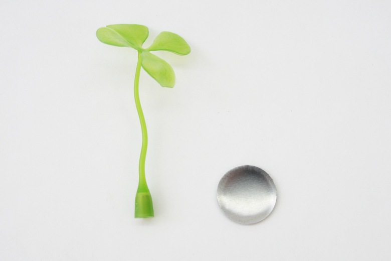 ڼ갷λۥåɥåޥͥå / 饦ॲ奿