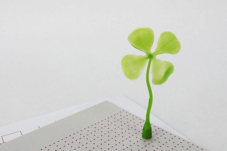 ڼ갷λۥåɥåޥͥå / 饦ॲ奿