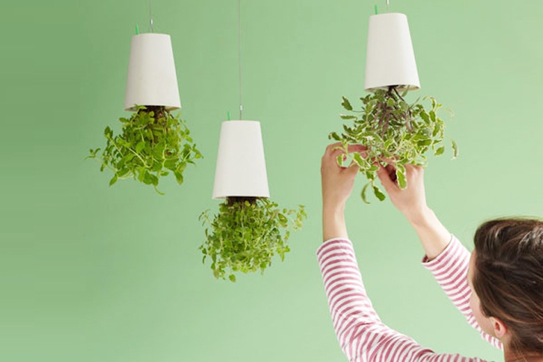 ץ󥿡 ꥵ ۥ磻 L / ܥ