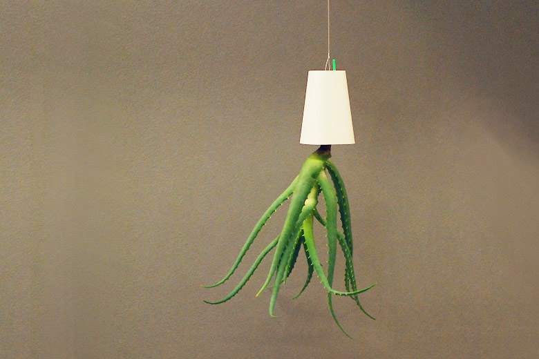 ץ󥿡 ꥵ ۥ磻 S / ܥ