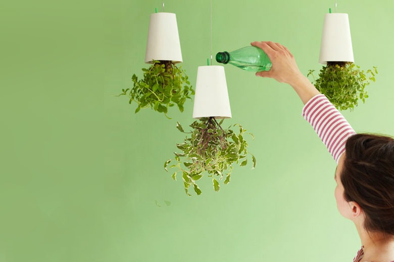 ץ󥿡 ꥵ ۥ磻 S / ܥ