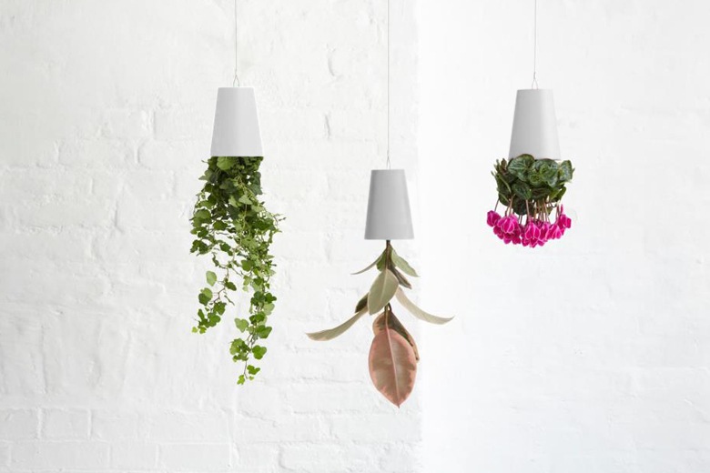 ץ󥿡 ꥵ ۥ磻 S / ܥ