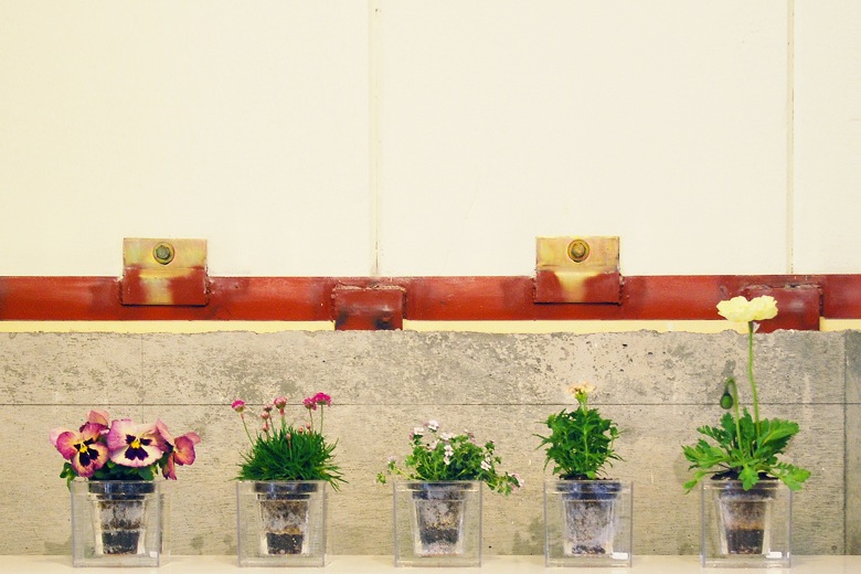 ܥ 塼֡S ưץ󥿡 / ܥ