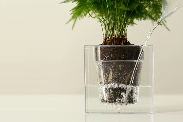 ܥ 塼֡S ưץ󥿡 / ܥ