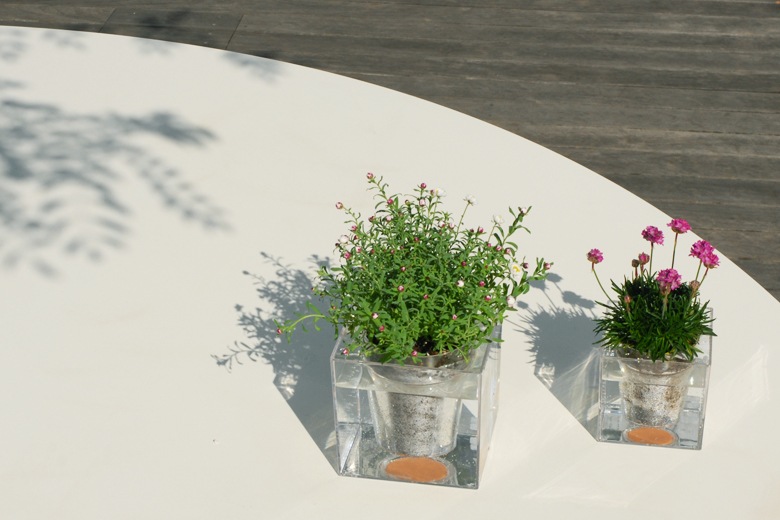 ܥ 塼֡S ưץ󥿡 / ܥ