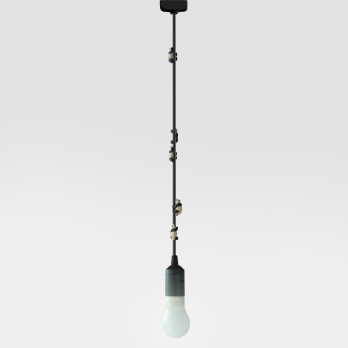 ��ؾ��(�����ɤ��Ф�ưʪ�ξ���) �ѥ�� / �����С������������ȥ�