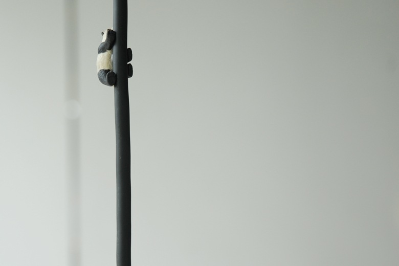 ��ؾ��(�����ɤ��Ф�ưʪ�ξ���) �ѥ�� / �����С������������ȥ�