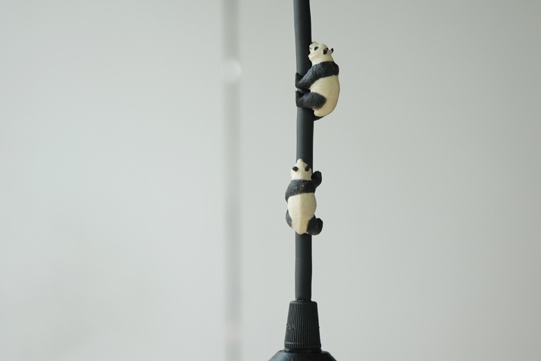 ��ؾ��(�����ɤ��Ф�ưʪ�ξ���) �ѥ�� / �����С������������ȥ�