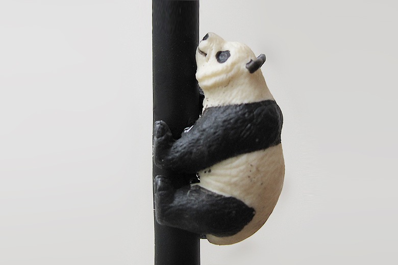 ��ؾ��(�����ɤ��Ф�ưʪ�ξ���) �ѥ�� / �����С������������ȥ�