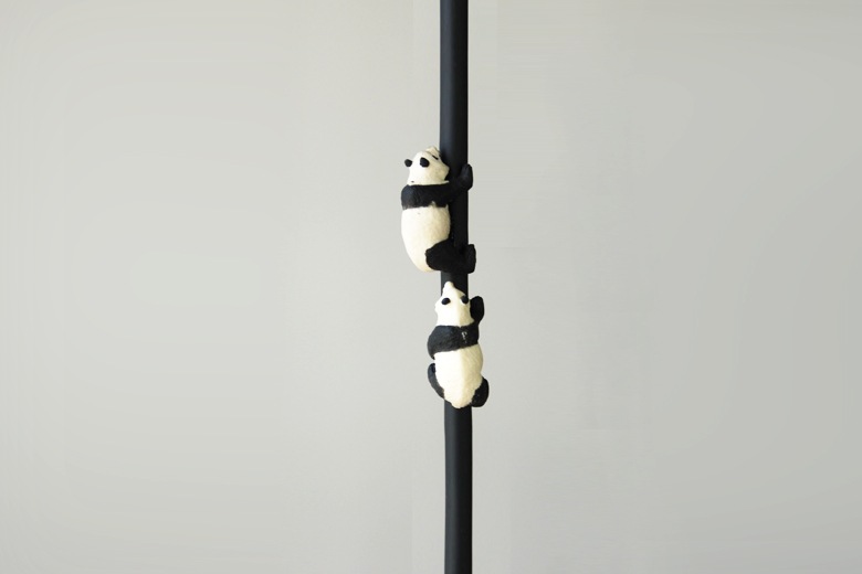 ��ؾ��(�����ɤ��Ф�ưʪ�ξ���) �ѥ�� / �����С������������ȥ�