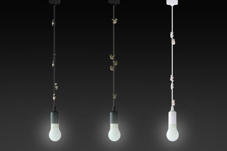 ��ؾ��(�����ɤ��Ф�ưʪ�ξ���) �ѥ�� / �����С������������ȥ�