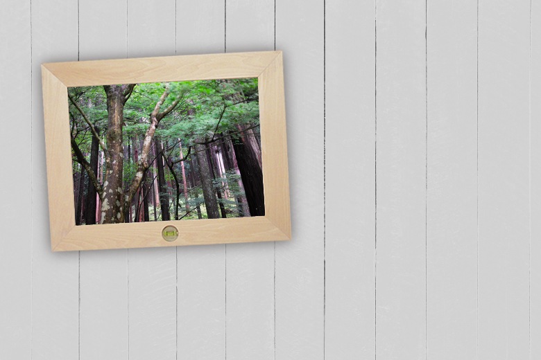 ѡեȥ٥ եȥե졼 / 󥫡顼